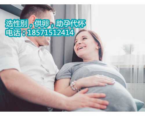 北京助孕价格,真正的助孕专家