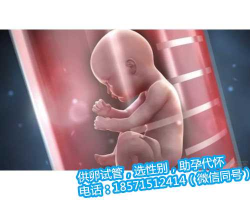 北京试管助孕公司婴儿供卵多少钱