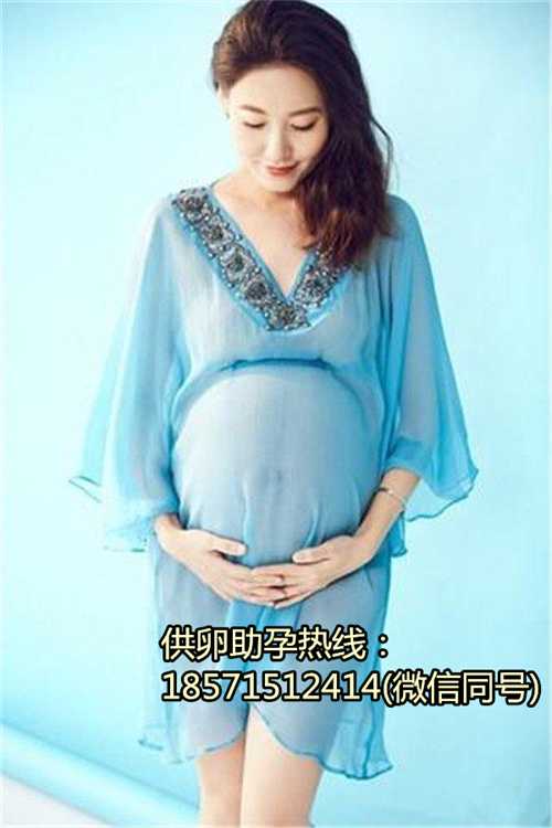 北京试管助孕公司,有没有法律规定